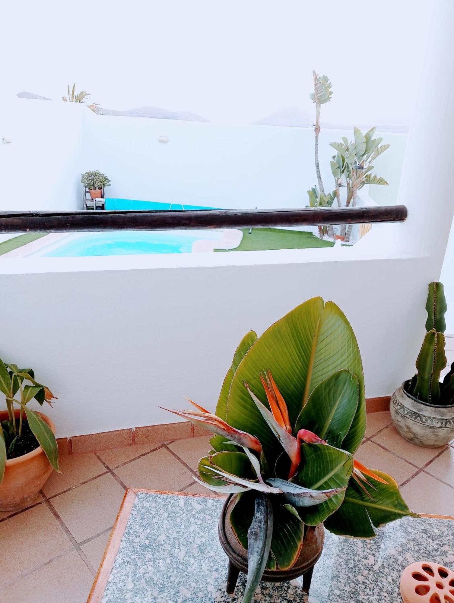 Casa Strelitzia Nazaret Exterior foto